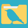 Bulbul